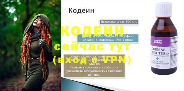 шишки Надым