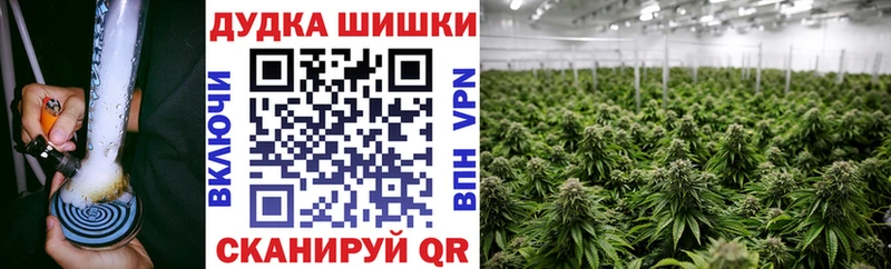 Купить где  Камешково  МАРИХУАНА SATIVA & INDICA 
